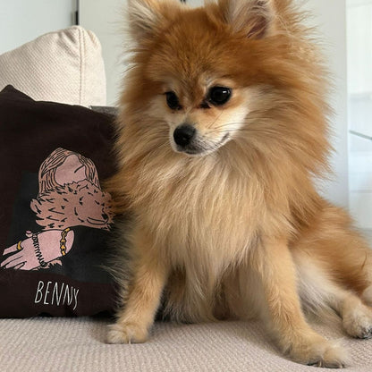 Custom Pet Hoodie